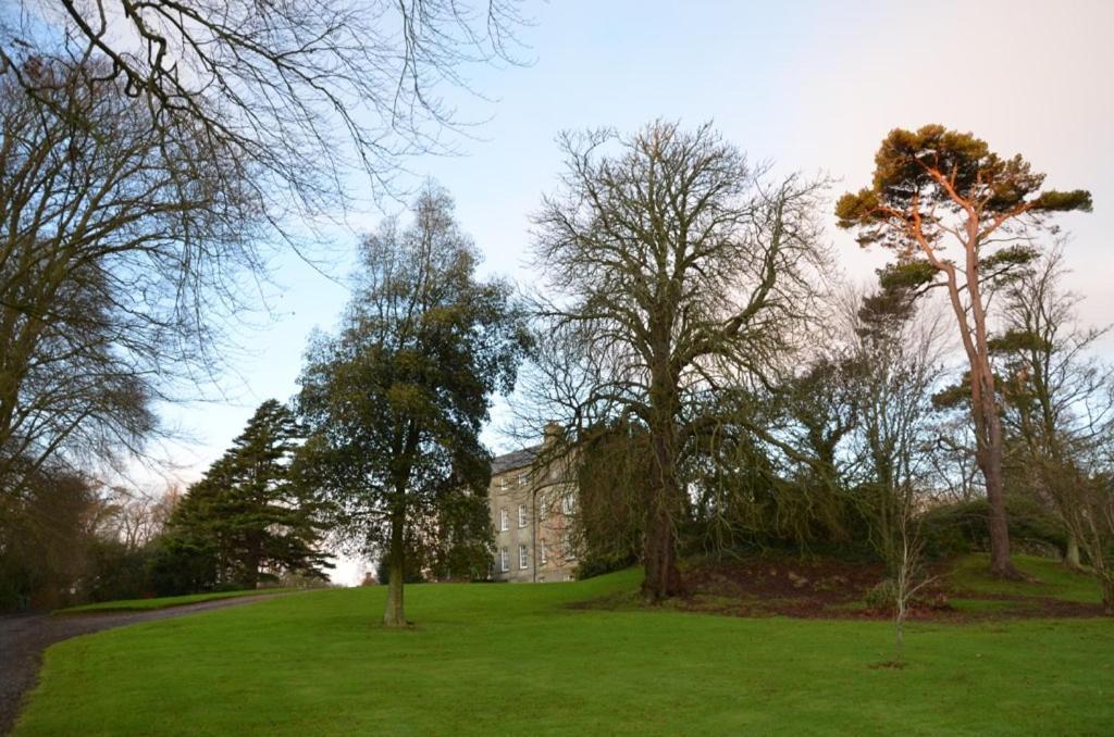 Ballydugan Country House Downpatrick Exteriér fotografie