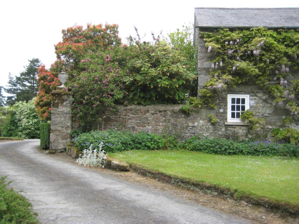 Ballydugan Country House Downpatrick Exteriér fotografie